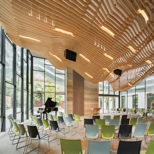 Custom Architectural Ceilings
