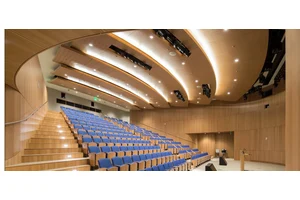 Replaceable commercial ceiling application image