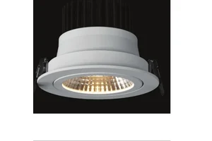 LED Ceiling Light - Product Overview