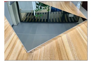 Reflective Mirror Ceiling - Product Detail 01
