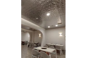 Stainless Steel Ripple Ceiling - Product Overview